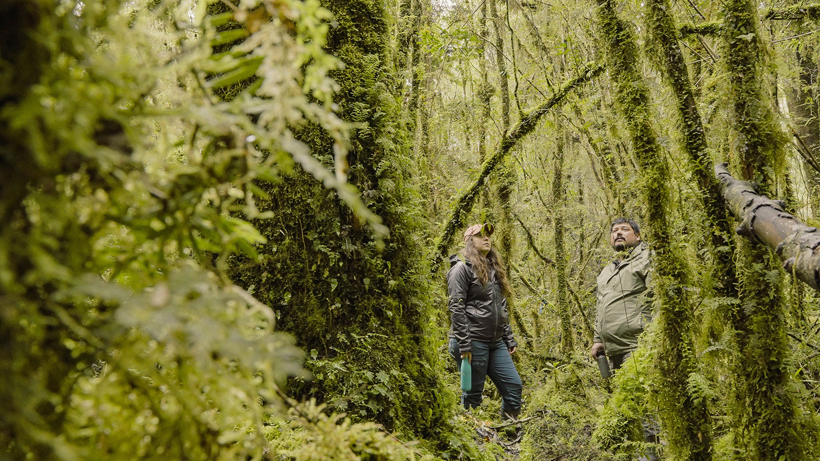 "Invasores": Uchile TV estrenará serie documental que explora el alma de la naturaleza chilena en peligro - imagen 3